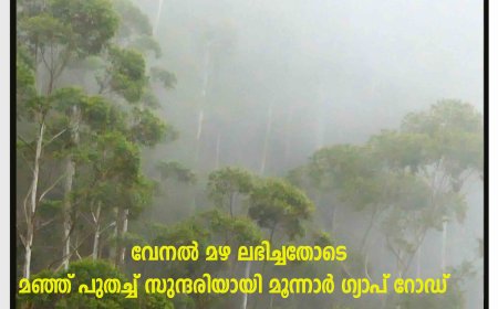 വേനല്‍ മഴ ലഭിച്ചതോടെ, മഞ്ഞ് പുതച്ച് സുന്ദരിയായി മൂന്നാര്‍ ഗ്യാപ് റോഡ്