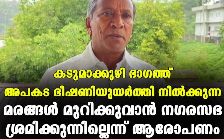 കടുമാക്കുഴി ഭാഗത്ത് അപകട ഭീഷണിയുയര്‍ത്തി നില്‍ക്കുന്ന മരങ്ങള്‍ മുറിക്കുവാന്‍ നഗരസഭ ശ്രമിക്കുന്നില്ലെന്ന് ആരോപണം