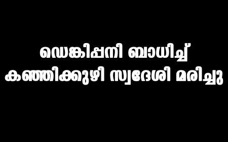 ഡെങ്കിപ്പനി ബാധിച്ച് കഞ്ഞിക്കുഴി സ്വദേശി മരിച്ചു 