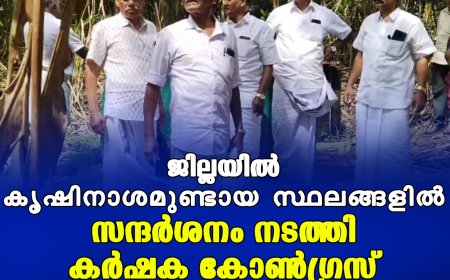 ജില്ലയില്‍ കൃഷിനാശമുണ്ടായ സ്ഥലങ്ങളില്‍ സന്ദര്‍ശനം നടത്തി കര്‍ഷക കോണ്‍ഗ്രസ്