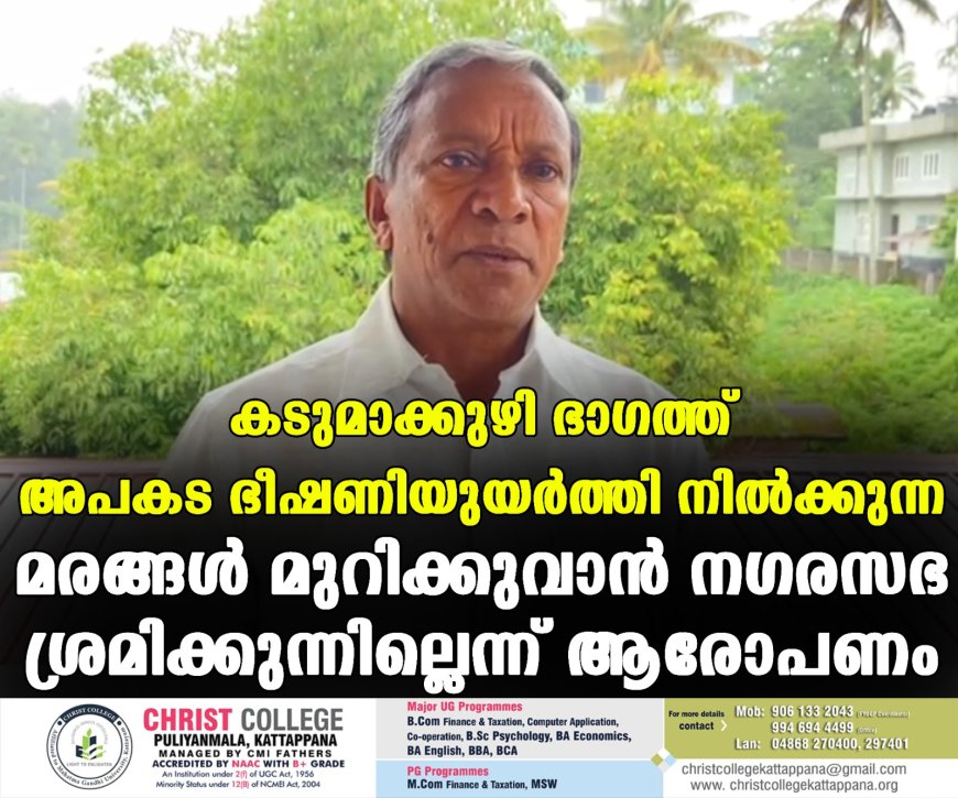 കടുമാക്കുഴി ഭാഗത്ത് അപകട ഭീഷണിയുയര്ത്തി നില്ക്കുന്ന മരങ്ങള് മുറിക്കുവാന് നഗരസഭ ശ്രമിക്കുന്നില്ലെന്ന് ആരോപണം