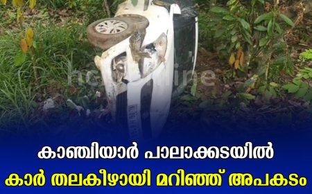 കാഞ്ചിയാർ പാലാക്കടയിൽ കാർ തലകീഴായി മറിഞ്ഞ് അപകടം