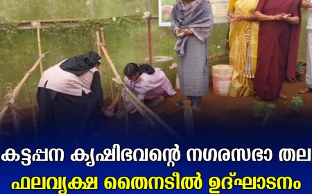 കട്ടപ്പന കൃഷിഭവന്റെ നഗരസഭാ തല ഫലവൃക്ഷ തൈനടീല്‍ ഉദ്ഘാടനം