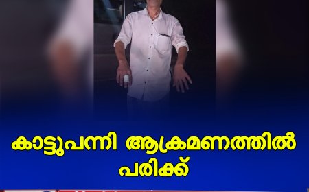 കാട്ടുപന്നി ആക്രമണത്തില്‍ പരിക്ക്