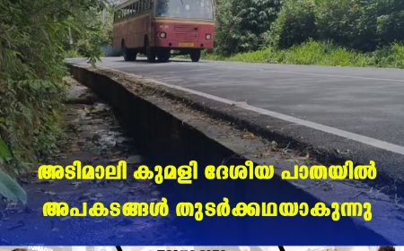 അടിമാലി കുമളി ദേശീയ പാതയില് അപകടങ്ങള് തുടര്ക്കഥയാകുന്നു
