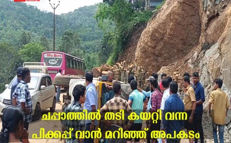 ചപ്പാത്തില്‍ തടി കയറ്റി വന്ന പിക്കപ്പ് വാന്‍ മറിഞ്ഞ് അപകടം
