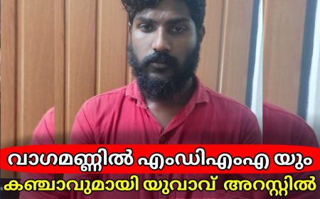  വാഗമണ്ണില്‍ എംഡിഎംഎയും കഞ്ചാവുമായി യുവാവ് അറസ്റ്റില്‍