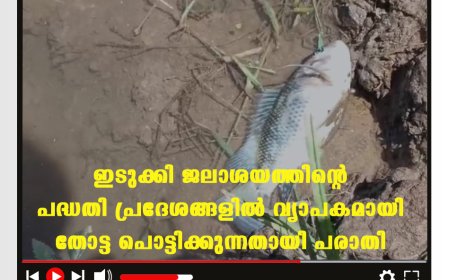 ഇടുക്കി ജലാശയത്തിന്റെ പദ്ധതി പ്രദേശങ്ങളില്‍ വ്യാപകമായി തോട്ട പൊട്ടിക്കുന്നതായി പരാതി 