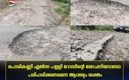 പൊരികണ്ണി എല്‍സ പള്ളി റോഡിന്റെ ശോചനീയാവസ്ഥ പരിഹരിക്കണമെന്ന ആവശ്യം ശക്തം 