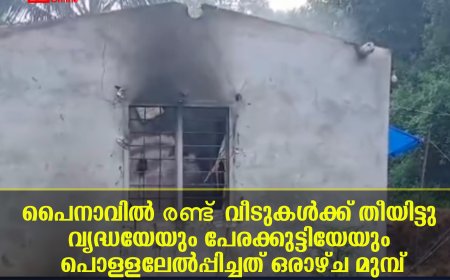 പൈനാവിൽ രണ്ട് വീടുകൾക്ക് തീയിട്ടു: വൃദ്ധയേയും പേരക്കുട്ടിയേയും പൊള്ളലേൽപ്പിച്ചത് ഒരാഴ്ച മുമ്പ്