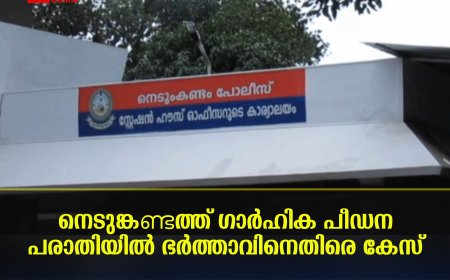 നെടുങ്കണ്ടത്ത് ഗാര്‍ഹിക പീഡന പരാതിയില്‍ ഭര്‍ത്താവിനെതിരെ കേസ് 