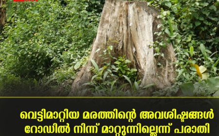 വെട്ടിമാറ്റിയ മരത്തിന്റെ അവശിഷ്ടങ്ങള്‍ റോഡില്‍ നിന്ന് മാറ്റുന്നില്ലെന്ന് പരാതി 