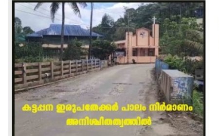 കട്ടപ്പന ഇരുപതേക്കര്‍ പാലം നിര്‍മാണം അനിശ്ചിതത്വത്തില്‍
