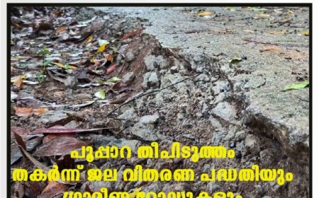 പൂപ്പാറ തീപിടുത്തം: തകര്‍ന്ന് ജല വിതരണ പദ്ധതിയും ഗ്രാമീണ റോഡുകളും
