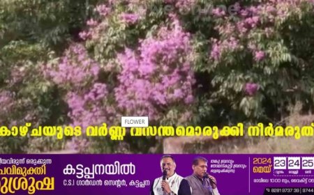 കാഴ്ചയുടെ വര്‍ണ്ണ വസന്തമൊരുക്കി നീര്‍മരുത്