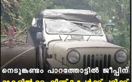 നെടുങ്കണ്ടം പാറത്തോട്ടില്‍ ജീപ്പിന് മുകളില്‍ മരം വീണ് 2 പേര്‍ക്ക് പരിക്ക്