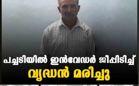പച്ചടിയില്‍ ഇന്‍വേഡര്‍ ജീപ്പിടിച്ച് വൃദ്ധൻ  മരിച്ചു