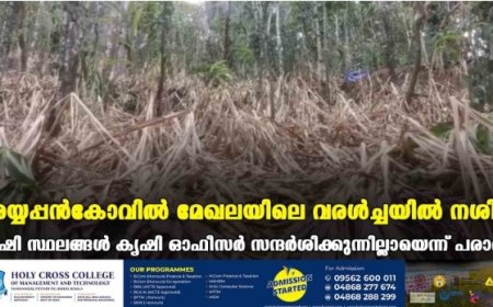 അയ്യപ്പന്‍കോവില്‍ മേഖലയിലെ വരള്‍ച്ചയില്‍ നശിച്ച കൃഷി സ്ഥലങ്ങള്‍ കൃഷി ഓഫീസര്‍ സന്ദര്‍ശിക്കുന്നില്ലായെന്ന് പരാതി