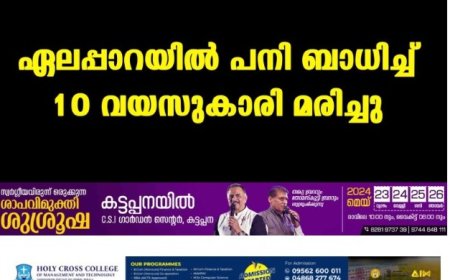 ഏലപ്പാറയില്‍ പനി ബാധിച്ച് 10 വയസുകാരി മരിച്ചു