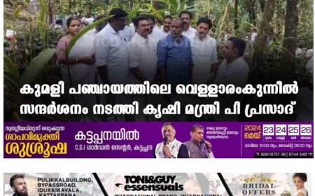കുമളി പഞ്ചായത്തിലെ വെള്ളാരംകുന്നില്‍ സന്ദര്‍ശനം നടത്തി കൃഷി മന്ത്രി പി പ്രസാദ്