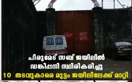 പീരുമേട് സബ് ജയിലില്‍ ഡെങ്കിപ്പനി സ്ഥിരീകരിച്ചു: 10 തടവുകാരെ മുട്ടം ജയിലിലേക്ക് മാറ്റി