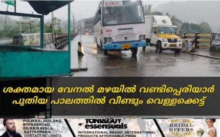 ശക്തമായ വേനൽ മഴയിൽ വണ്ടിപ്പെരിയാർ പുതിയ പാലത്തിൽ വീണ്ടും വെള്ളക്കെട്ട്