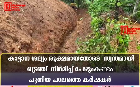 കാട്ടാന ശല്യം രൂക്ഷമായതോടെ  സ്വന്തമായി ട്രെഞ്ച്  നിര്‍മിച്ച്  പേഴുംകണ്ടം പുതിയ പാലത്തെ കര്‍ഷകര്‍