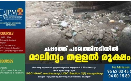 ചപ്പാത്ത് പാലത്തിനടിയില്‍ മാലിന്യം തള്ളല്‍ രൂക്ഷം