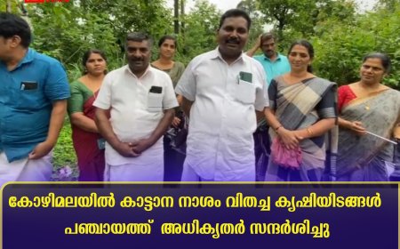 കോഴിമലയില് കാട്ടാന നാശം വിതച്ച കൃഷിയിടങ്ങള് പഞ്ചായത്ത് അധികൃതര് സന്ദര്ശിച്ചു