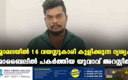 മ്ലാമലയില്‍ 16 വയസ്സുകാരി കുളിക്കുന്ന ദൃശ്യം മൊബൈലില്‍ പകര്‍ത്തിയ യുവാവ് അറസ്റ്റില്‍