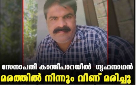 സേനാപതി കാന്തിപാറയിൽ ഗൃഹനാഥൻ മരത്തിൽ നിന്നും വീണ് മരിച്ചു