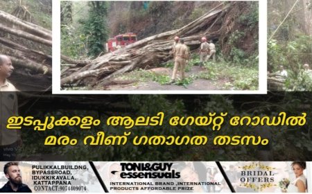ഇടപ്പൂക്കളം ആലടി ഗേയ്റ്റ് റോഡിൽ മരം വീണ് ഗതാഗത തടസം