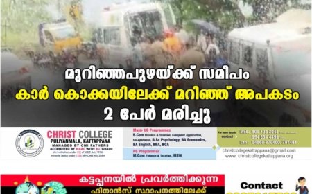 ദേശീയപാതയിൽ കുട്ടിക്കാനം കടുവ പാറയ്ക്ക് സമീപം അപകടം കാർ കൊക്കയിലേക്ക് മറിഞ്ഞു. അപകടത്തിൽ രണ്ടുപേർ മരിച്ചു