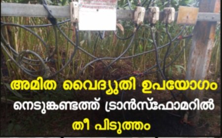 അമിത വൈദ്യുതി ഉപയോഗം: നെടുങ്കണ്ടത്ത് ട്രാന്‍സ്‌ഫോമറില്‍ തീ പിടുത്തം