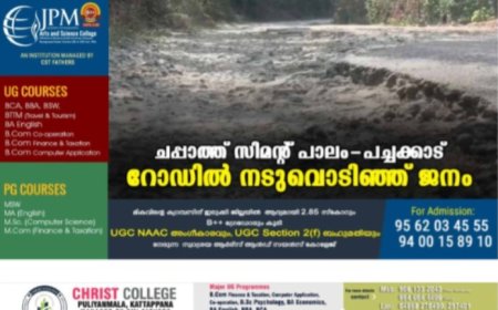 ചപ്പാത്ത് സിമന്റ് പാലം- പച്ചക്കാട് റോഡില്‍ നടുവൊടിഞ്ഞ് ജനം
