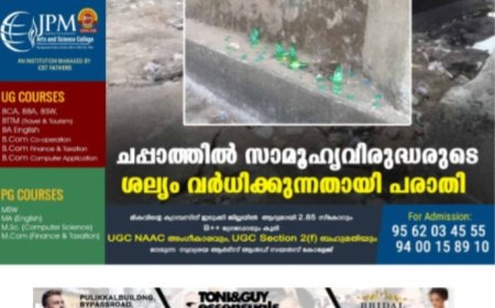 ചപ്പാത്തില്‍ സാമൂഹ്യവിരുദ്ധരുടെ ശല്യം വര്‍ധിക്കുന്നതായി പരാതി