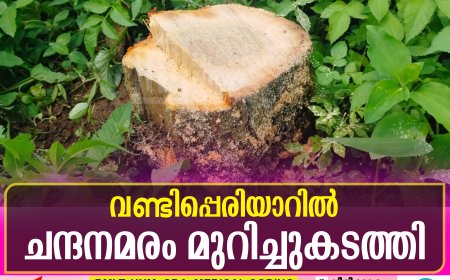വണ്ടിപ്പെരിയാറില് ചന്ദനമരം മുറിച്ചുകടത്തി