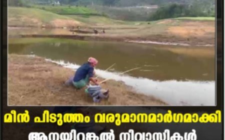മീന്‍ പിടുത്തം വരുമാനമാര്‍ഗമാക്കി ആനയിറങ്കല്‍ നിവാസികള്‍