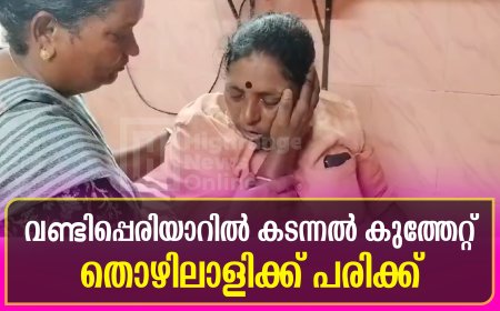 വണ്ടിപ്പെരിയാറില്‍ കടന്നല്‍ കുത്തേറ്റ് തൊഴിലാളിക്ക് പരിക്ക്
