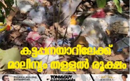 കട്ടപ്പനയാറിലേക്ക് മാലിന്യം തള്ളല്‍ രൂക്ഷം