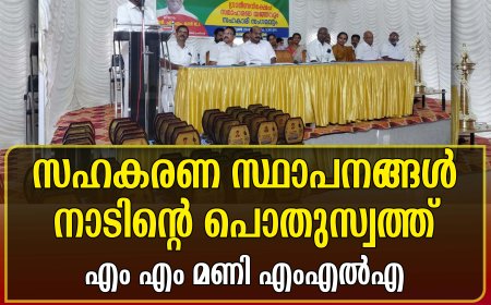 സഹകരണ സ്ഥാപനങ്ങള്‍ നാടിന്റെ പൊതുസ്വത്ത്: എം എം മണി എംഎല്‍എ