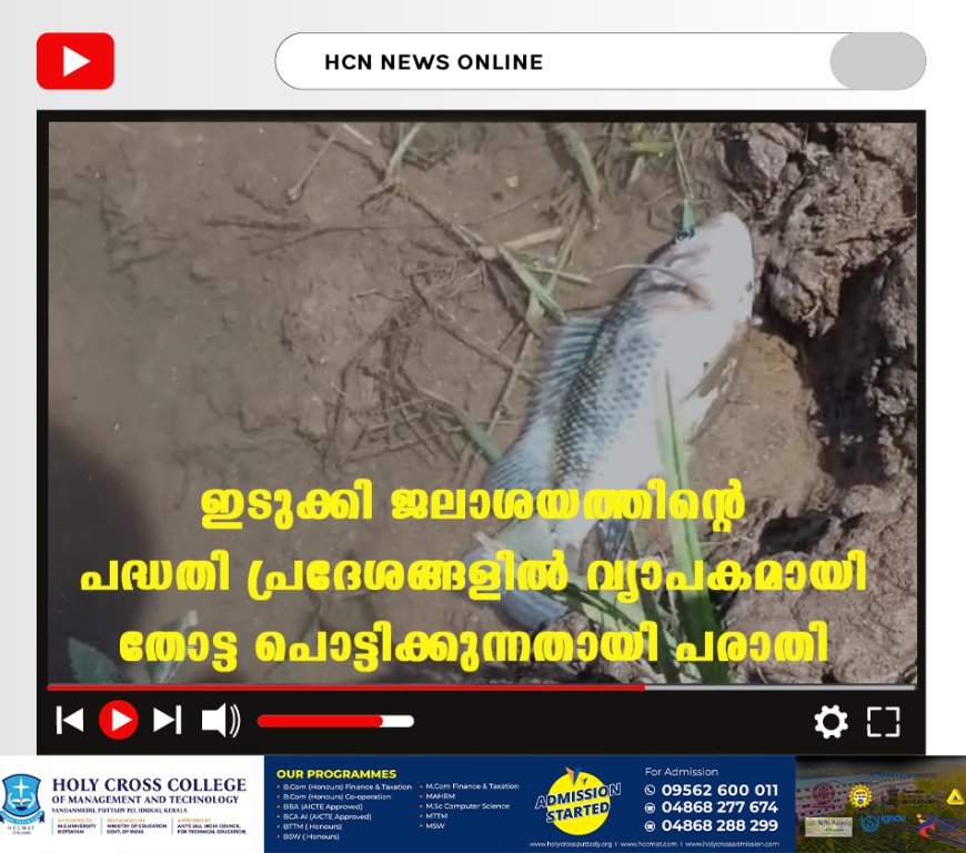 ഇടുക്കി ജലാശയത്തിന്റെ പദ്ധതി പ്രദേശങ്ങളില്‍ വ്യാപകമായി തോട്ട പൊട്ടിക്കുന്നതായി പരാതി 