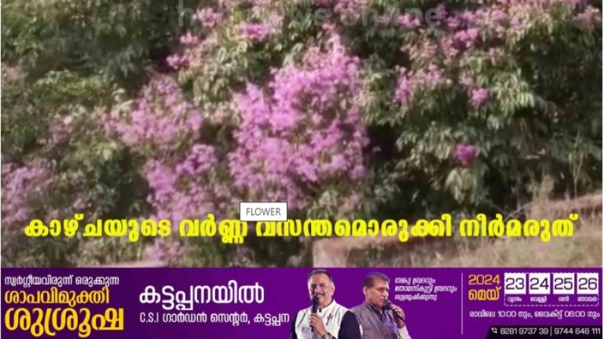 കാഴ്ചയുടെ വര്‍ണ്ണ വസന്തമൊരുക്കി നീര്‍മരുത്