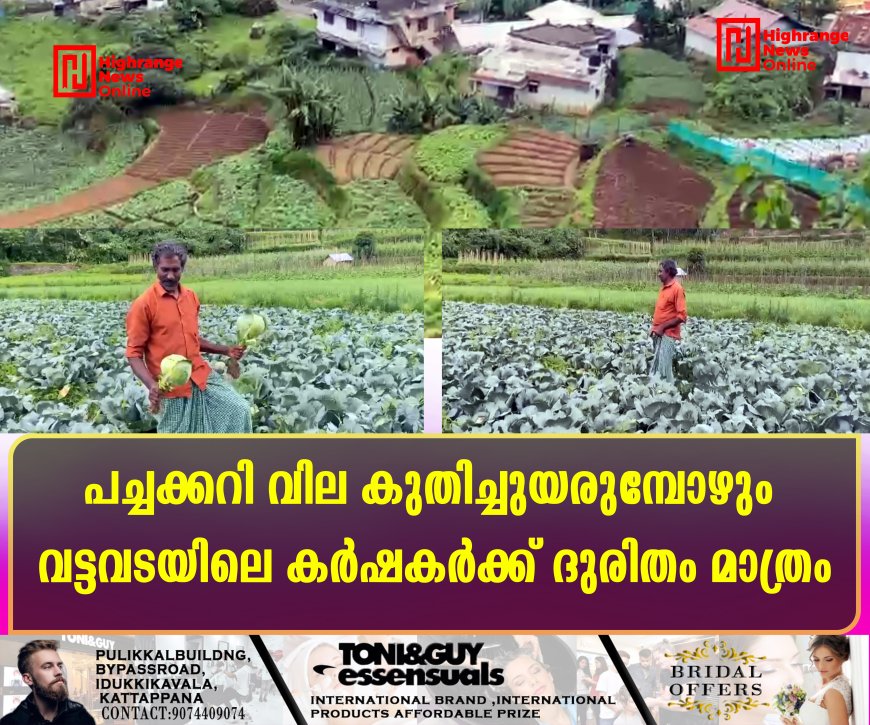 പച്ചക്കറി വില കുതിച്ചുയരുമ്പോഴും വട്ടവടയിലെ കര്ഷകര്ക്ക് ദുരിതം മാത്രം