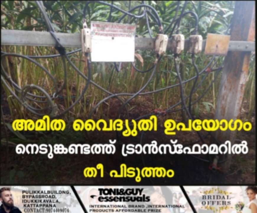 അമിത വൈദ്യുതി ഉപയോഗം: നെടുങ്കണ്ടത്ത് ട്രാന്സ്ഫോമറില് തീ പിടുത്തം