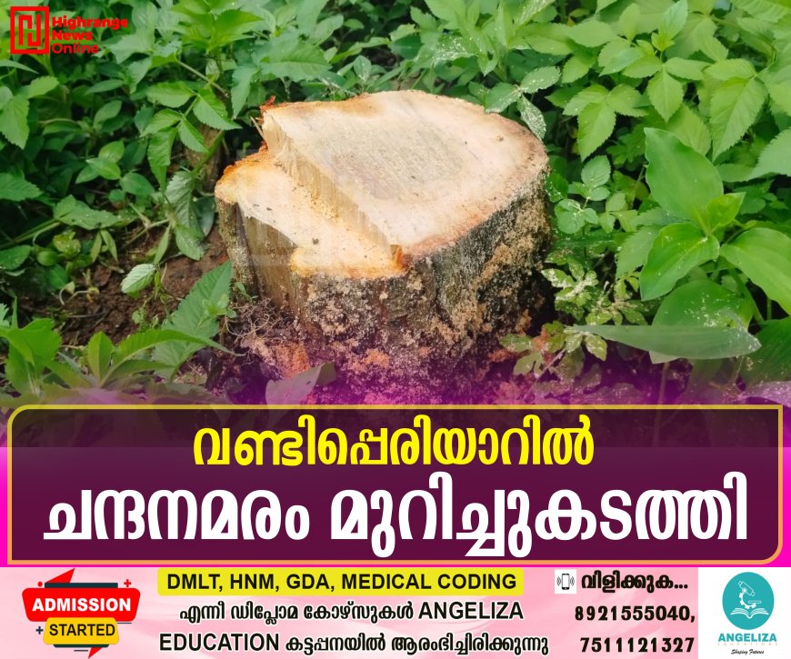 വണ്ടിപ്പെരിയാറില് ചന്ദനമരം മുറിച്ചുകടത്തി