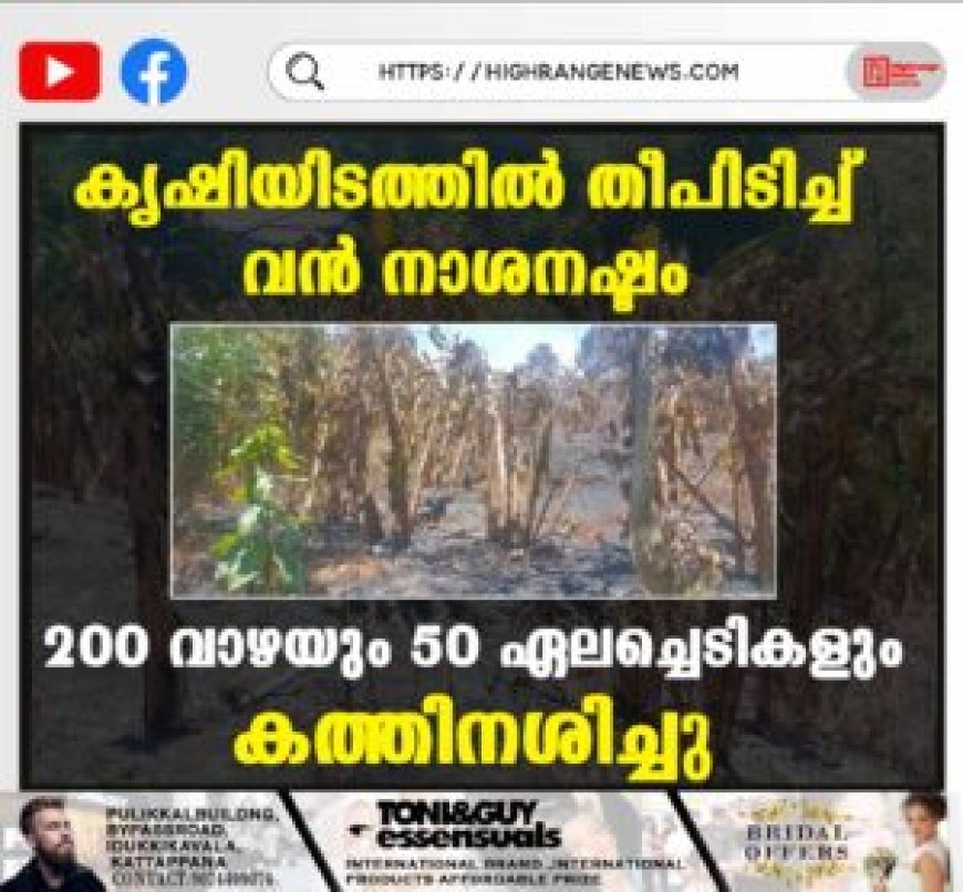 കൃഷിയിടത്തില് തീപിടിച്ച് വന് നാശനഷ്ടം: 200 വാഴയും 50 ഏലച്ചെടികളും കത്തിനശിച്ചു
