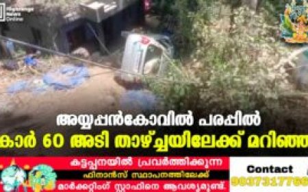 അയ്യപ്പൻകോവിൽ പരപ്പിൽ കാർ 60 അടി താഴ്ച്ചയിലേക്ക് മറിഞ്ഞു