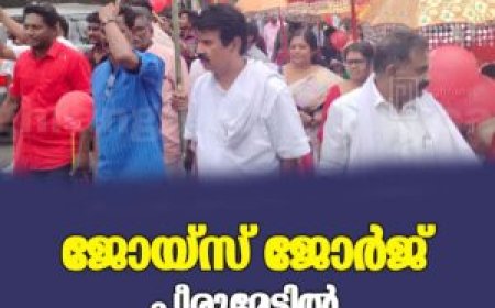 ജോയ്‌സ് ജോര്‍ജ് പീരുമേട്ടില്‍