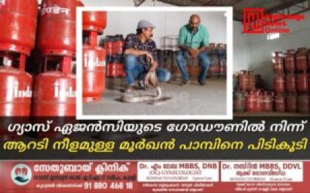 ഗ്യാസ് ഏജന്‍സിയുടെ ഗോഡൗണില്‍ നിന്ന് ആറടി നീളമുള്ള മൂര്‍ഖന്‍ പാമ്പിനെ പിടികൂടി